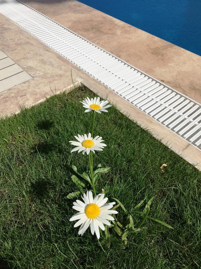דליאן Casa Pallet Hotel (Adults Only) מראה חיצוני תמונה