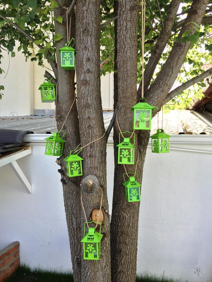 דליאן Casa Pallet Hotel (Adults Only) מראה חיצוני תמונה